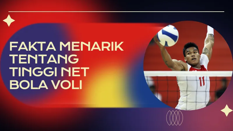 Fakta Menarik tentang Tinggi Net Bola Voli